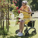 Rollator Carbon SALJOL