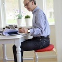 Sitzkissen Sitfit Plus Ø 37 cm – SISSEL