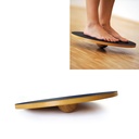 Balance Board Dynamic – SISSEL